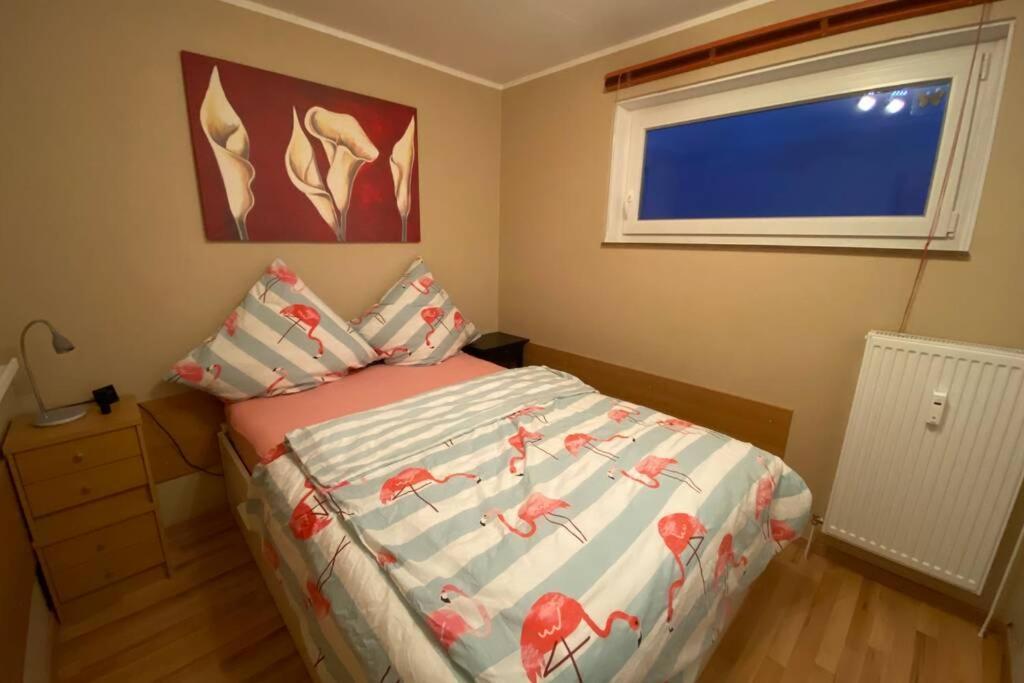 Moderne Ferienwohnung Mit Wlan+Schwimmbad+Sauna Hohegeiss Exterior photo